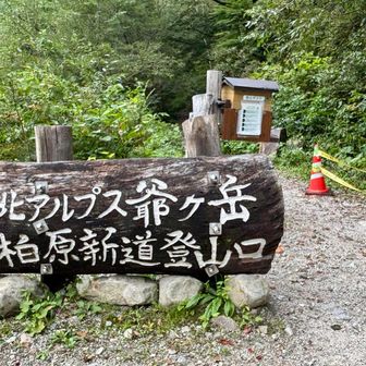 柏原新道を黙々と歩く✨
濡れた木の階段で3回も尻もちついたよ
靴底の溝、エッヂも減ってるからそろそろ買い替えかな😅

アップダウン激しい針ノ木サーキットも無事下山する事ができました👍
探し物は残念

針ノ木サーキット💙天気☀️に素敵な景色
また行きたい山がたくさん！
最高の登山でした♪✨✨✨

針ノ木サーキット雨天要注意⚠️
ガレ、ザレ場多く鎖⛓️なしの岩登り、ザレの崖っぷちあり滑りやすいです

最後まで長文読んでいただき
ありがとうございます😊♪