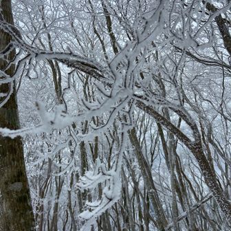 風は無いからそこまで寒さは感じない☺️