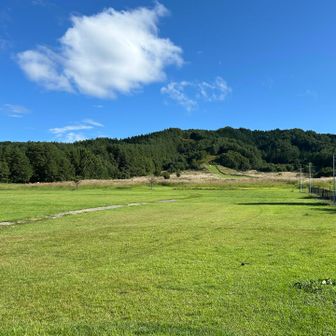 💙✨💙✨💙原山Blue💙✨💙✨💙

時間とともに天候が良くなって🤗

今年の飛騨高山、9月は例年になく☔️雨天🌧️ばっかりで😢今日のように貴重な青空には本当に身も心も晴ればれして、気分も爽快になるのでありがたや🙏♪

🍀最後まで読んで頂き、ありがとうございます☺️
