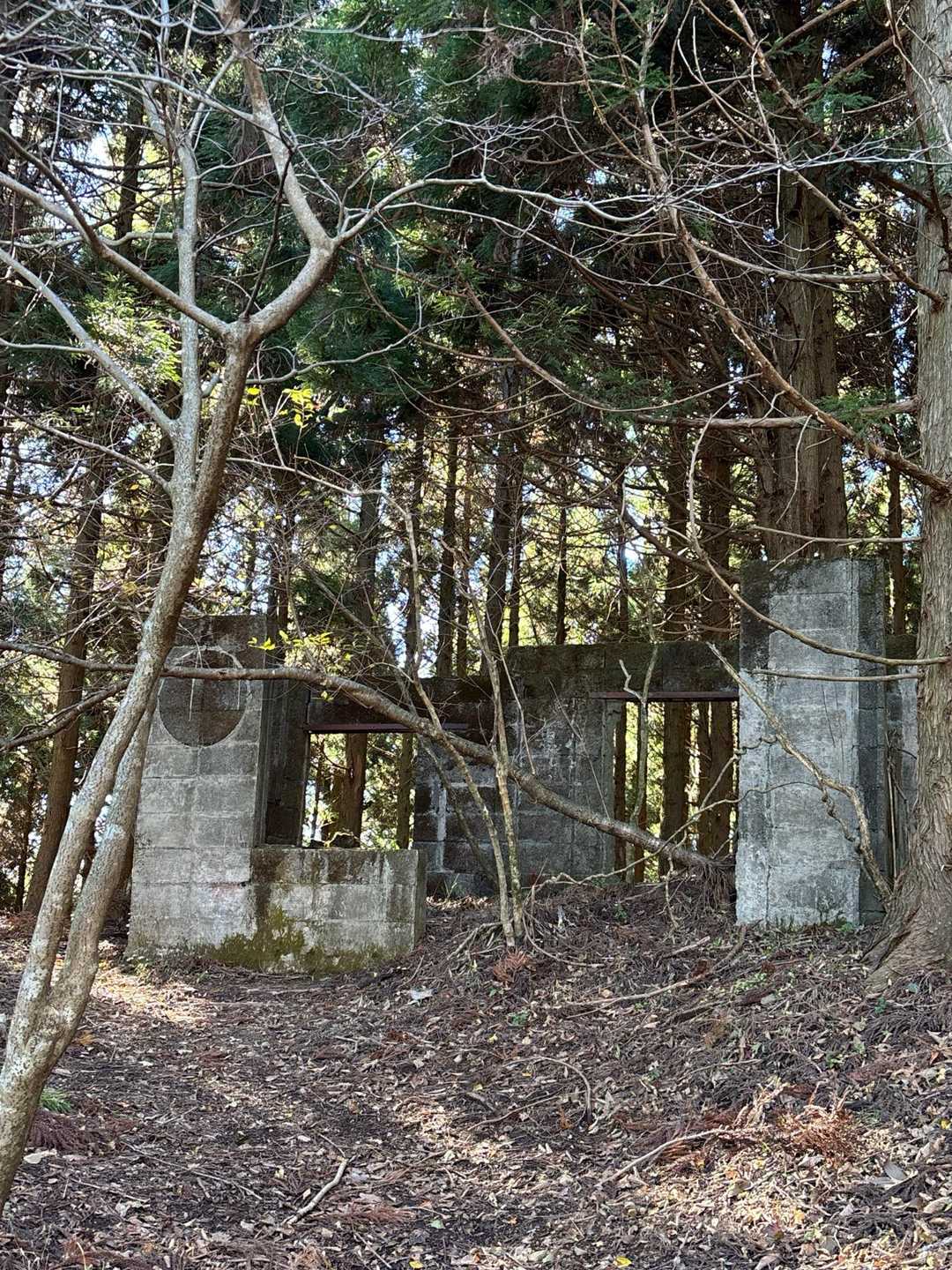 ロープウェイ🚡
通す予定跡地も健在