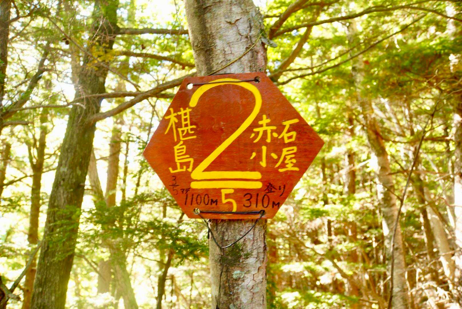 赤石岳・聖岳登山口-富士見平-赤石岳-百間平-中盛丸山-小 周回コースの写真