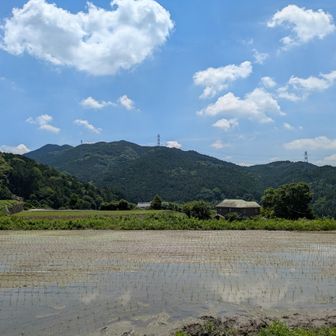 大根地山を望む