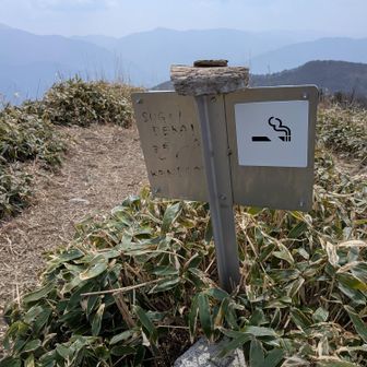 SUGOI DEKAIの落書き結構好きだったんだが消えかかってるな。