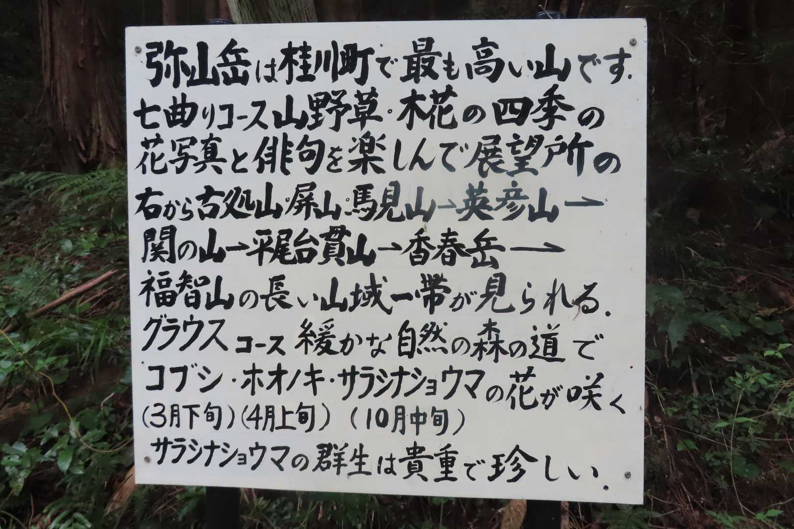ふむふむ・・