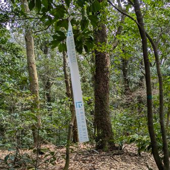 南畑トレランのコース