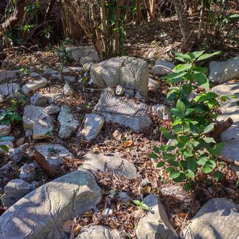 少し頂上の藪に入ると、これが私の言っていた、初めて見た時どこの産廃業者がこんな所にコンクリート捨てたんだと思ったコンクリート塊の山です。

冷静に考えたら無駄な労力、それも人力でしか持ってこれないこんな所に、産廃業者が捨てる訳ないんどすけどね🤣