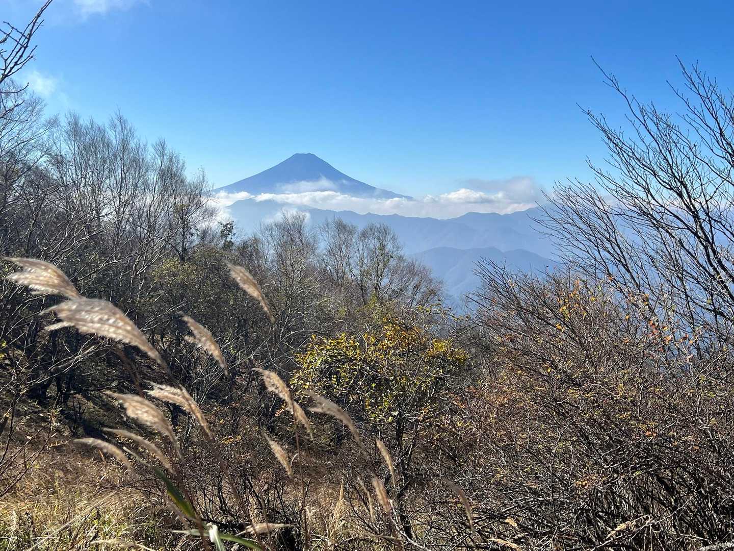 湯の沢峠-大蔵高丸-ハマイバ丸 往復コースの写真