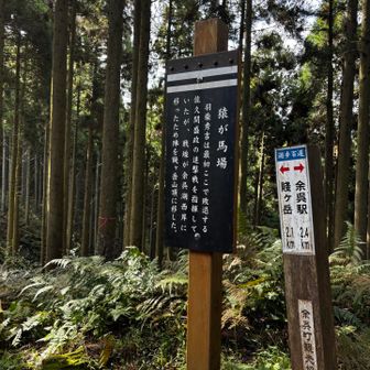 猿が馬場