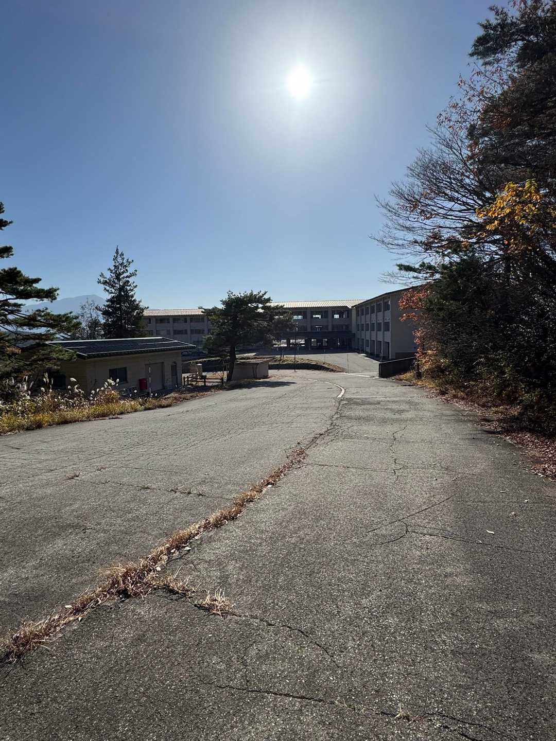 戻ってきた！