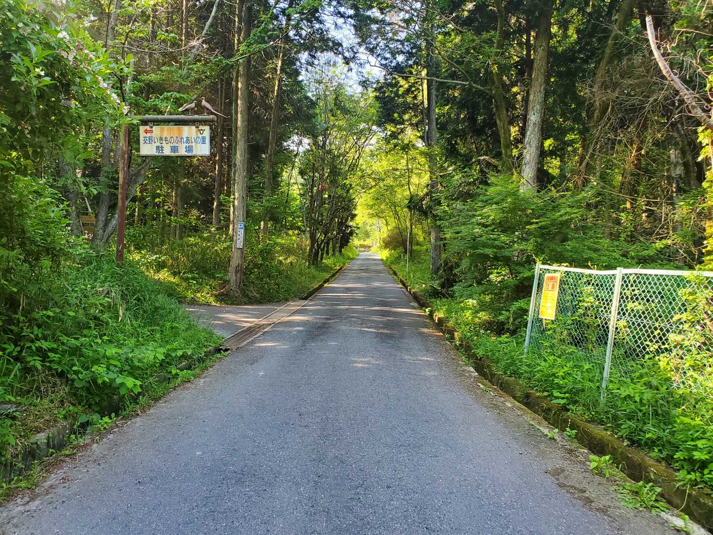 一度舗装路にでました。
この道、見覚えあると思ったらさっき生駒・くろんど池から通ってきた道だった。
次は旗振山です！