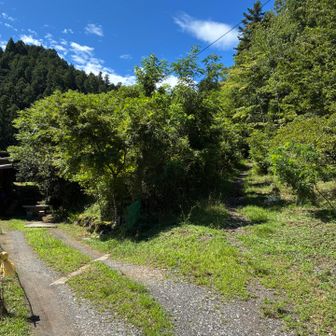 登山口が駅から近いのが良いところ。ここを右に登っていく。