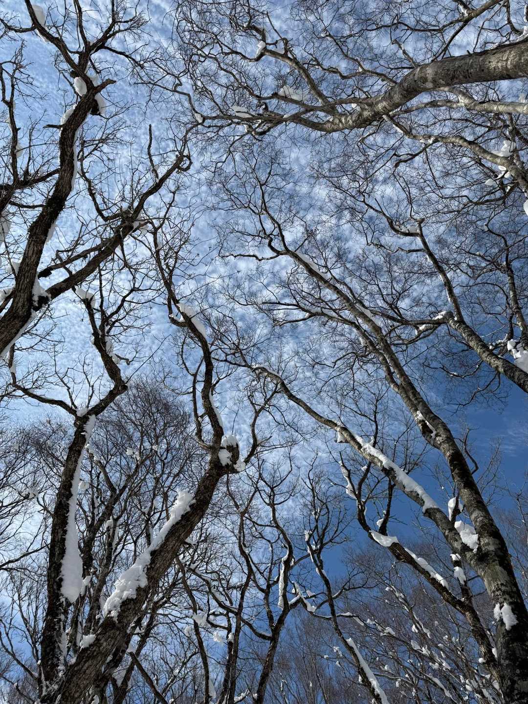 毛無山-出雲峠 周回コースの写真