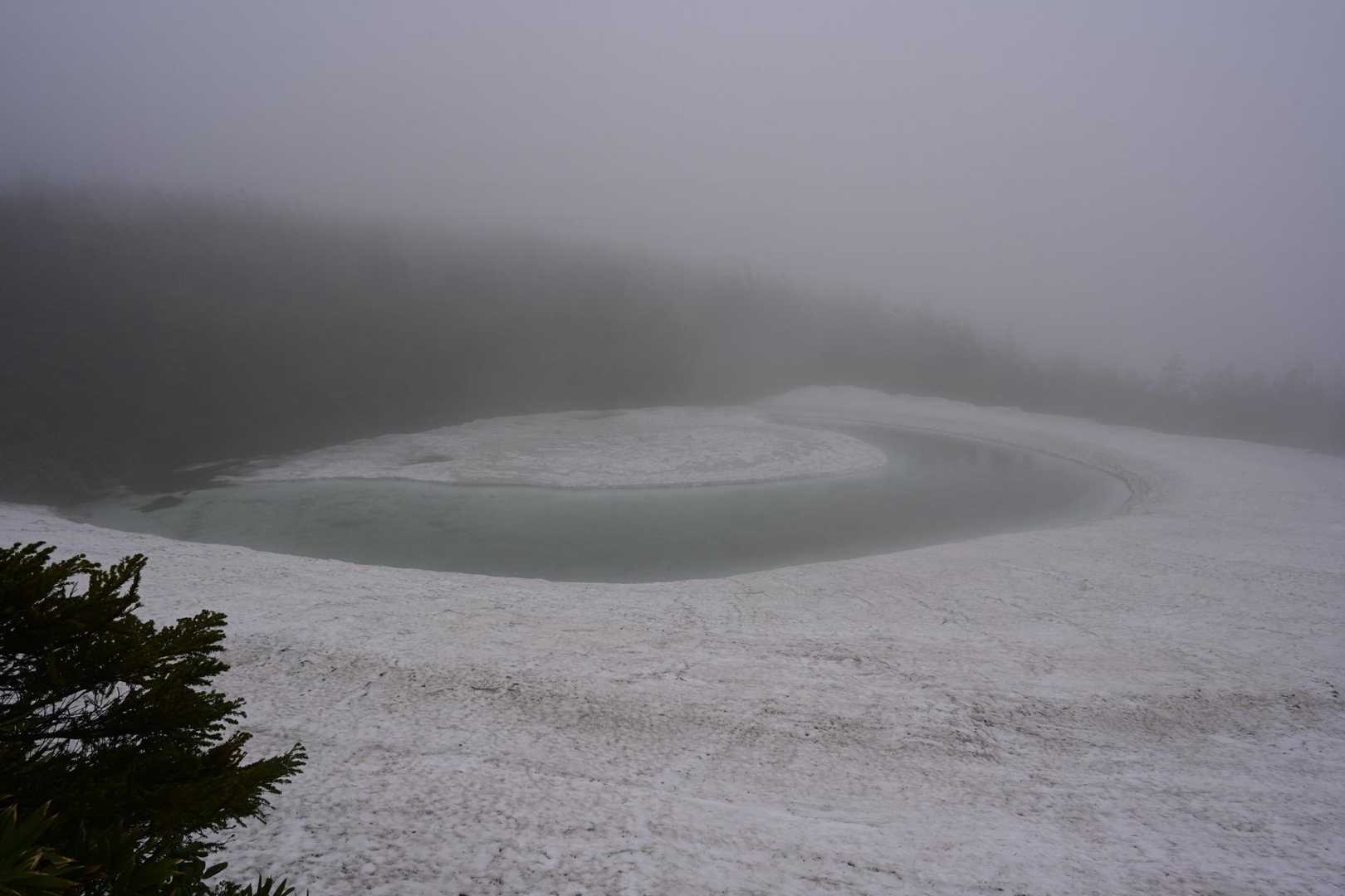 八幡平登山口-めがね沼 往復コースの写真
