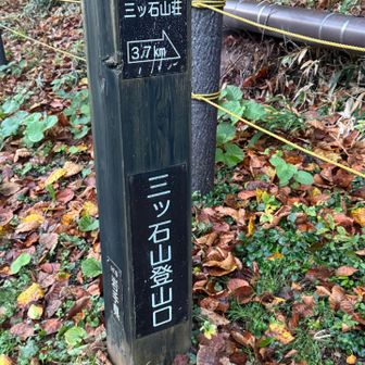 温泉脇の登山口から。