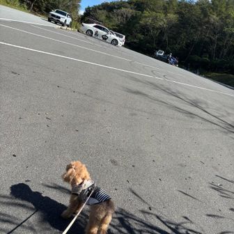 三国峠到着