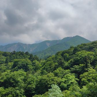 なんとか最後まで姿を見ることが出来ました🤗