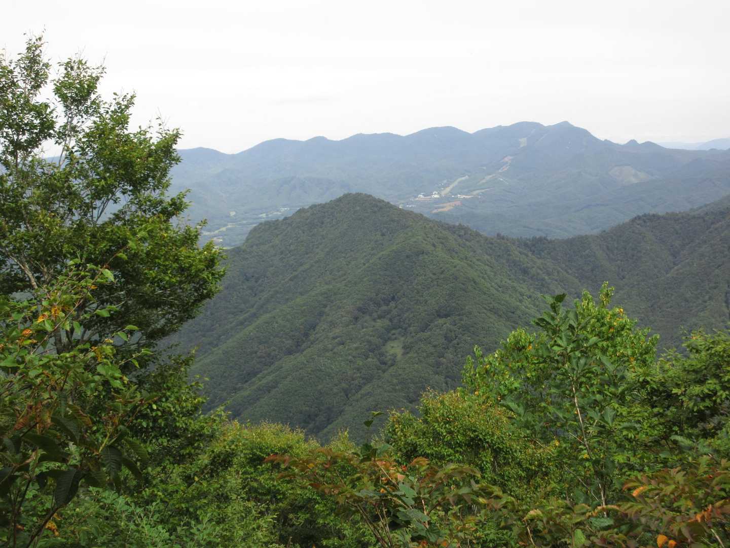 
尾根に出ると正面に七ヶ岳