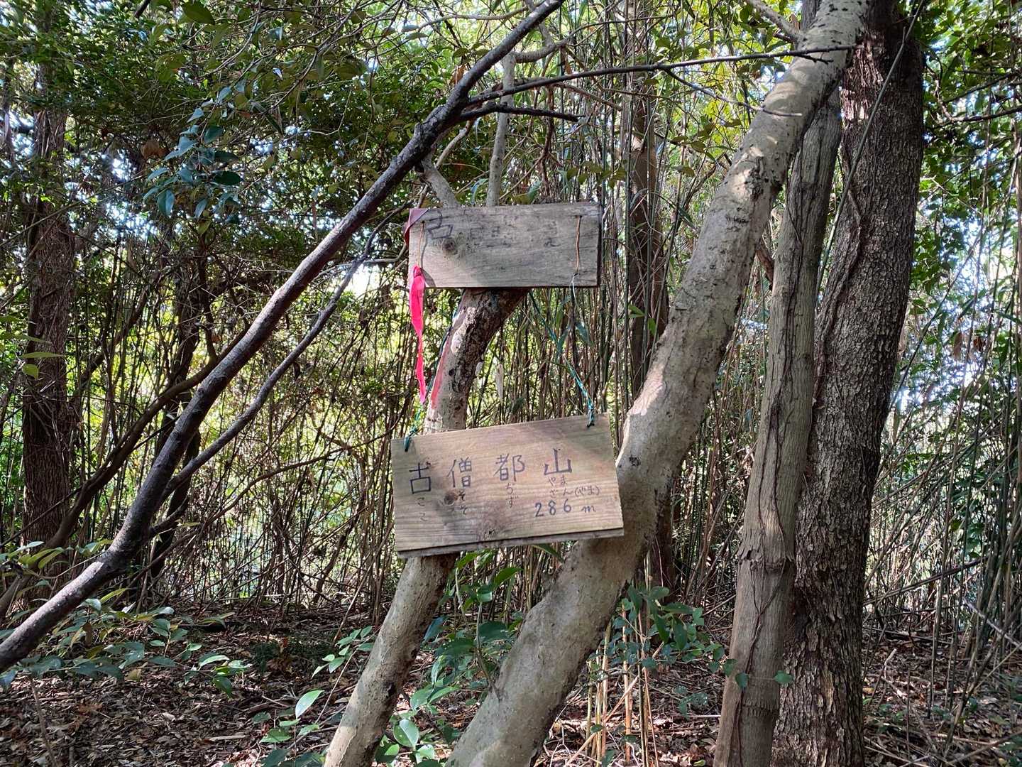 古僧都山(こそずざん.こそぢやま)山頂は