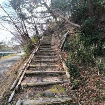 階段を登ります