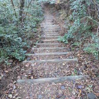 下山します。継鹿尾山名物の終わらない階段
