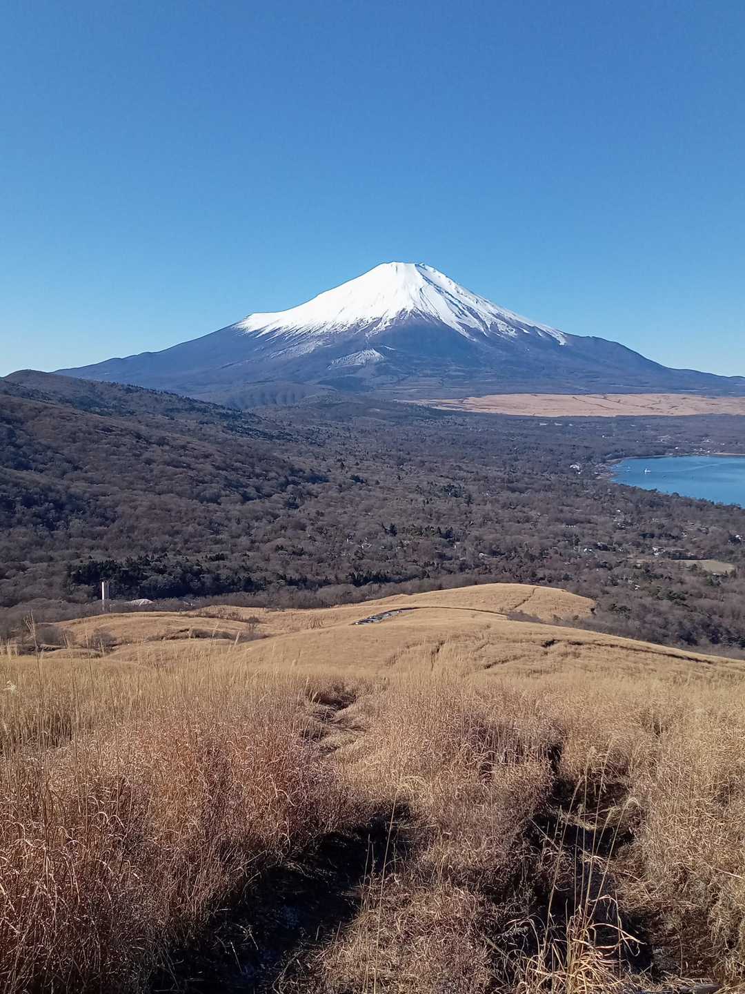 富士山も堪能したので下山開始します💪
朝見た禿げた所を下って行きます！