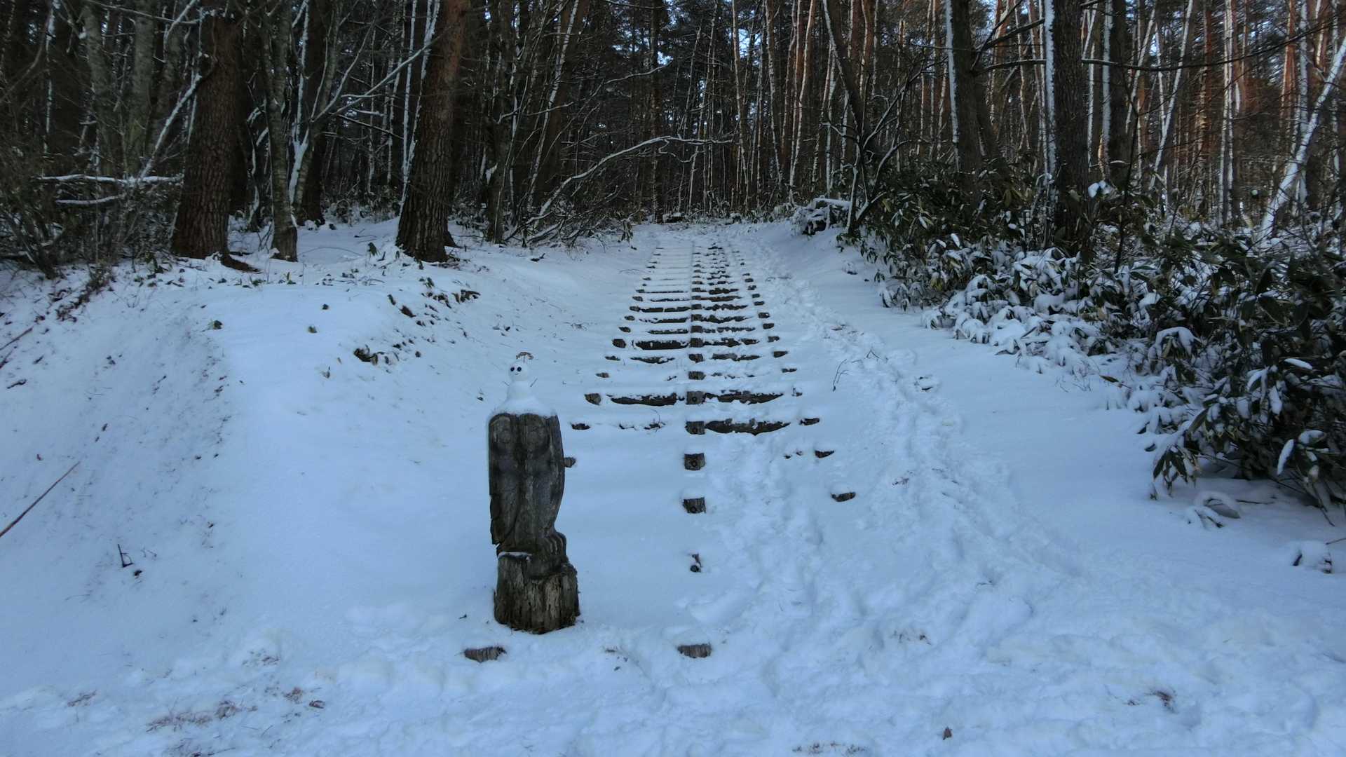※後から撮った絵です
フクロウさんから登山開始です！先週作ってお供えした⛄の塊がまだ残ってましたが撤去しました😅