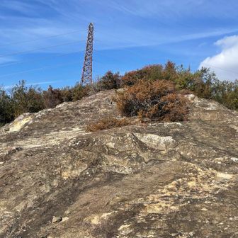 ワクワクするね