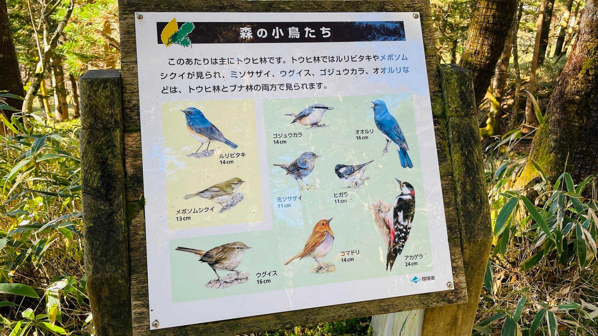 あつさーーー

ん！