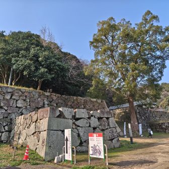 元旦は晴れますように🙏