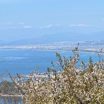 南アルプスを望む