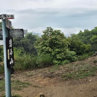 山頂標