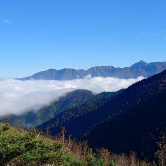 三角点以降、左手に見えてたひときわ目を引く立派な尖った山は「鍬崎山(2090m)」(くわさきやま)

富山のマッターホルンと呼ばれており、日本三百名山・富山の百選！


(あまりにもカッコ良い山なので調べた)
鍬崎山は、あの名将「佐々成政」が軍資金(黄金)を49個の壺に入れて隠した山らしい！実際にハンターが入るも未だ発見されず今も山の何処かにあるかも💴⁉️

佐々成政は、本能寺の変の後も、信長への忠誠、そして柴田勝家への忠義を貫き、勝家・お市自害の後も徹底的に秀吉と戦い続けた、あの佐々成政の黄金伝説とはメッチャロマンだ‼️
今回知った「さらさら超え」でもう一度司馬遼太郎でも読んでみようかなと思った🤔