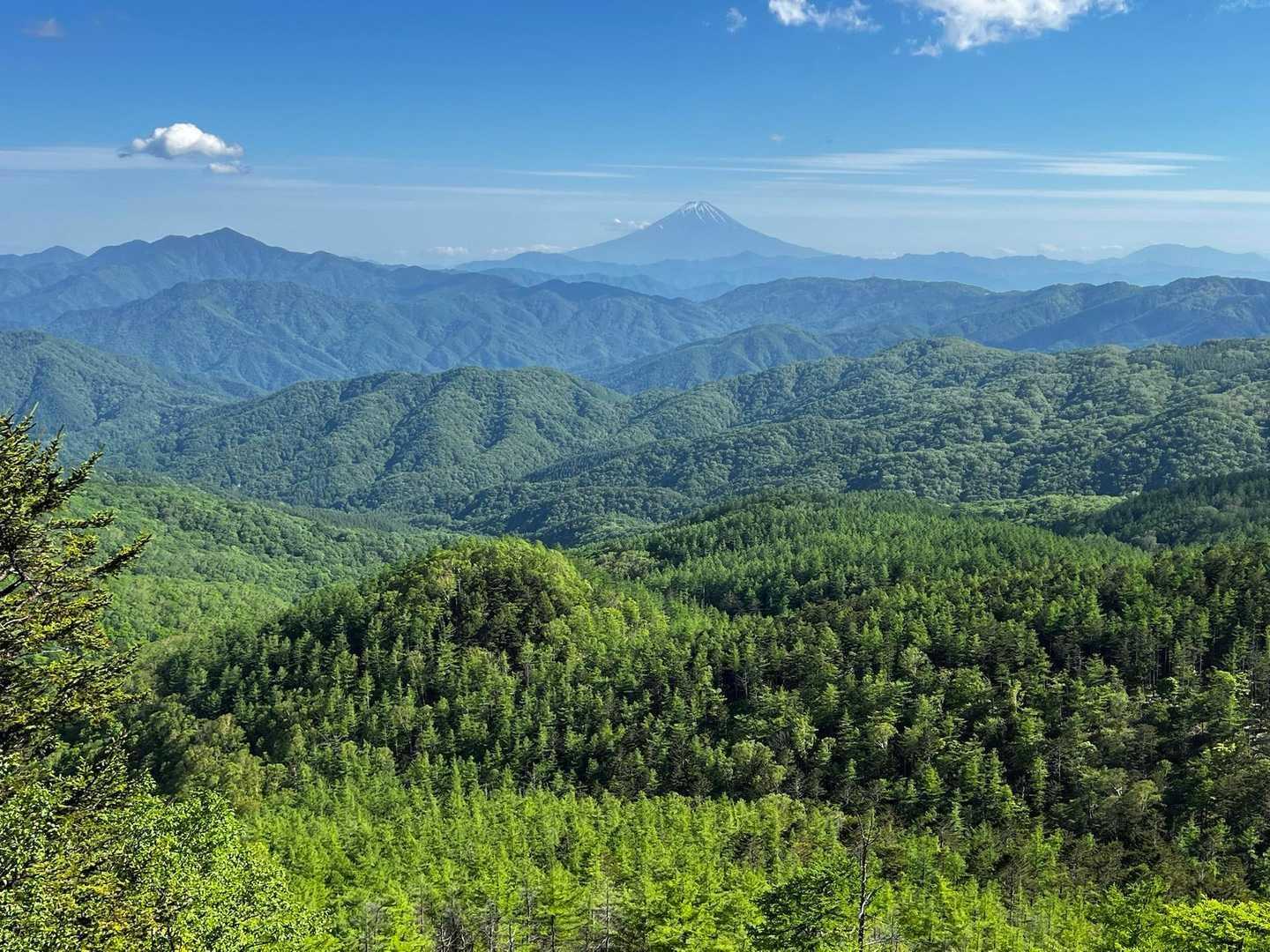 【JAPAN TRAIL】奥秩父連山登山道①（落合 - 笠取山）の写真