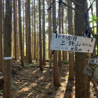 植林の中に🩶上野山
ここからスタート地点までコースがないので
誰かの軌跡を辿って