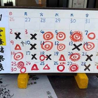 今日は⭕️ この感じやと木曜日が狙い目かも😝