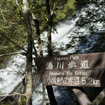 周回 30分くらいで出来たらしが 鈴なく断念