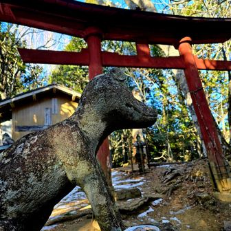 両神神社
お犬(狼)様にご挨拶