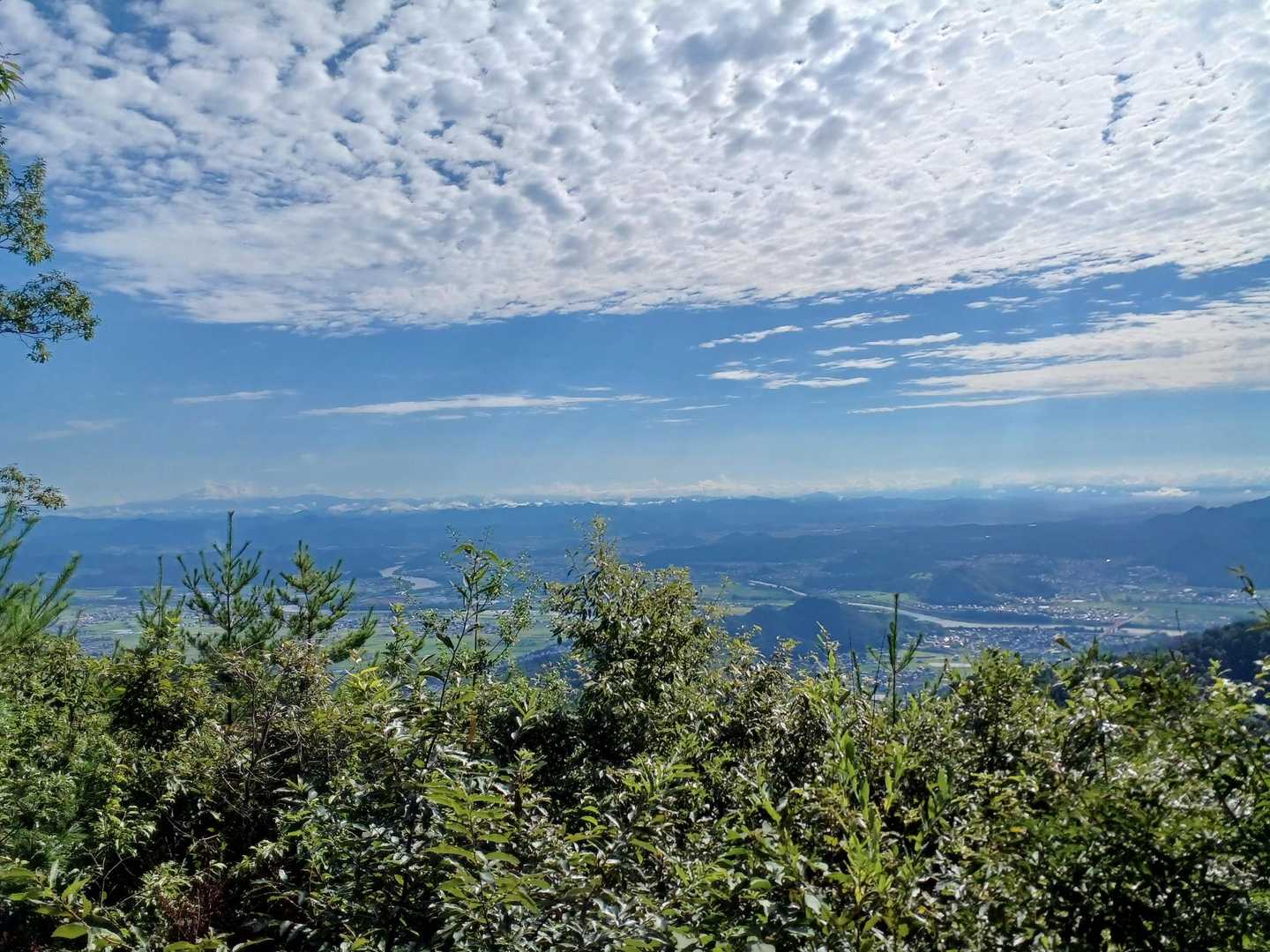 ながら川ふれあいの森-百々ヶ峰 往復コースの写真