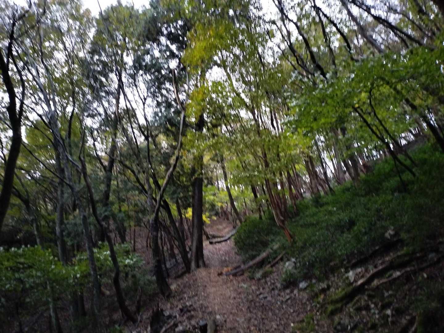 三方手前
この辺りは、紅葉🍁無し