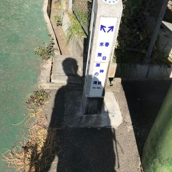 ナミダメノネコ