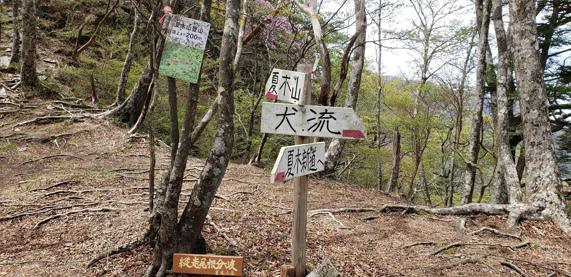 夏木新道登山口-犬流れ越登山口-夏木山 周回コースの写真