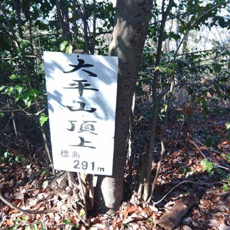 太平山とうちゃこ