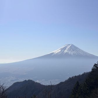 朝の方がくっきりね
