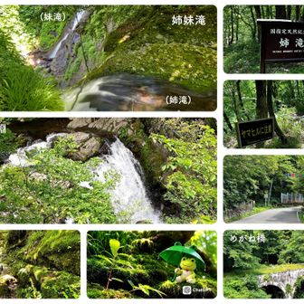 🌊姉妹滝を見学して帰りまーす
(🈁もヒル生息地なんですか😱)

https://akiusato.jp/seeing/pdf/26.pdf