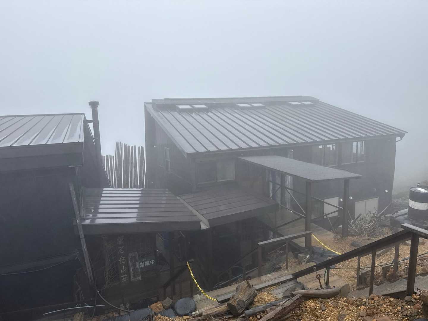 オアシスに見えた✨