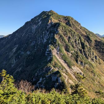 そして「あの山」ドン！！
君、二ペドン級にカッコいいな🤩
と言うか、ニペソツ山に似ているな！？