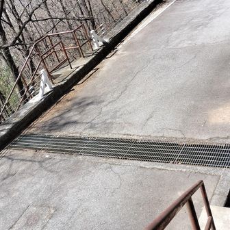 車道を渡って、あと少し山道を歩けば大宮神社に出ると言ったのに、ツレがギブアップして、もう車道歩きがいいと言うのでグーグルマップを見て歩き始めるも、私有地を突っ切る案内をされて、仕方なく登山道に戻ったという経緯