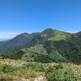 手前が鞍瀬の頭。奥が石鎚山