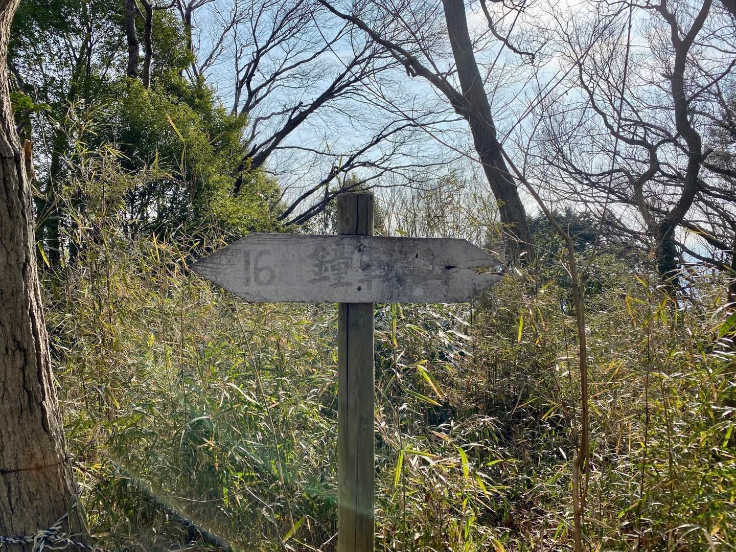 脇道探訪①の鐘転山山頂（218m）に到着🚩
残念ながら展望はありません🙅‍♂️
ここには昔、泉城と言うお城があったみたいですね🤭