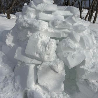 撮らせてもらっていいですか？で近くまで寄っていきましたわ